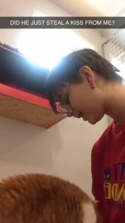 Cat gives owner a kiss