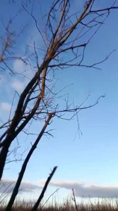 A russian, of the 70th Separate Guards Motor Rifle Brigade, shoots at an Ukrainian drone but only manages to shoot branches of a nearby tree, after which he retreats and walks past the body of his comrade 