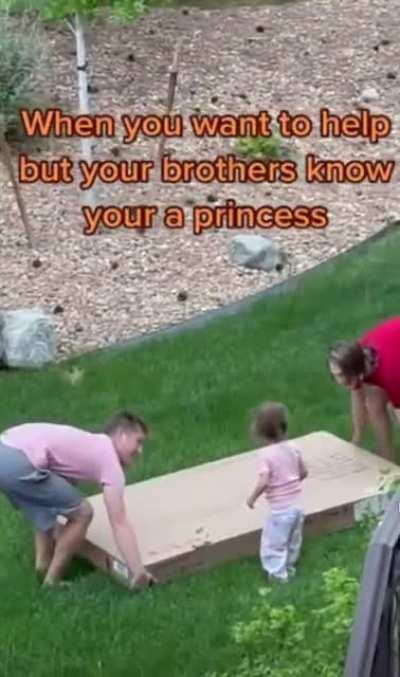 Coolest brothers ever! They treat their little sister as a princess.