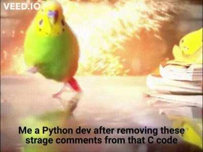 wait preprocessor directives?