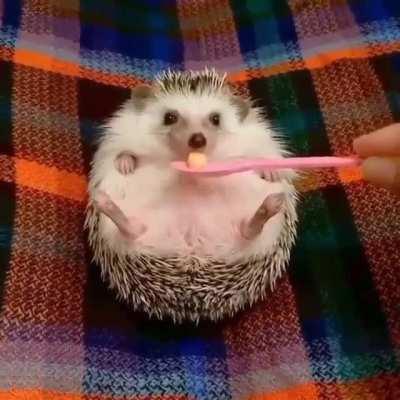 Food always fixes a mood