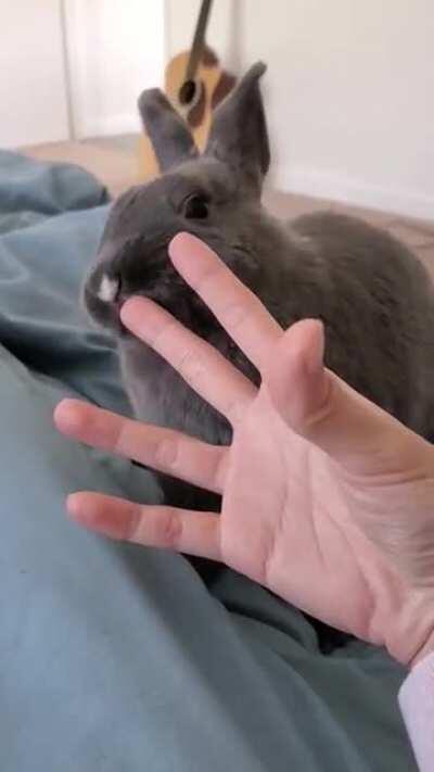 no shower, no problem