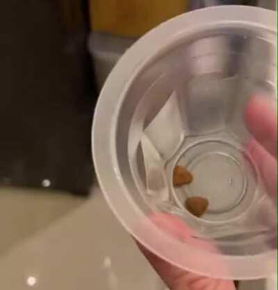 Floof wants to talk to the manager.