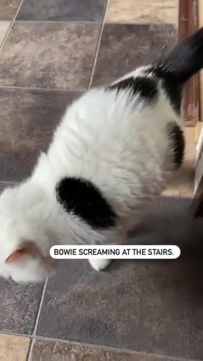 Stairs are the worst.