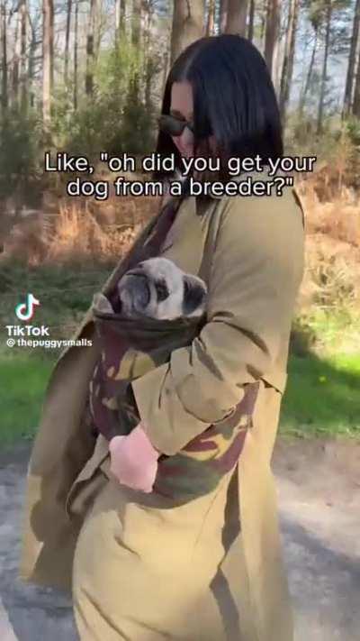 It’s quite rude actually 😂