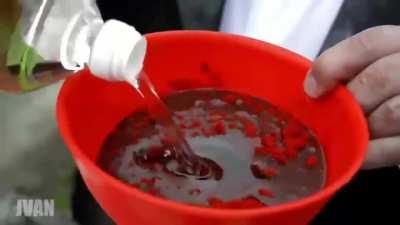 Mi favorita 😍😍🔥