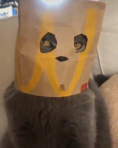 Nobody cared who I was, until I put on the mask