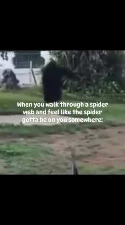 Also forgot to take my adhd med