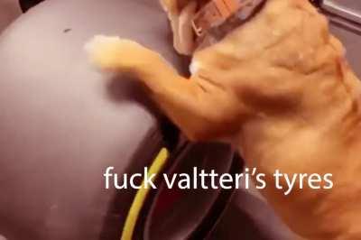 BREAKING: Person responsible for Bottas' tyre failure comes forward