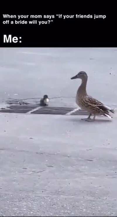 I can’t stop laughing