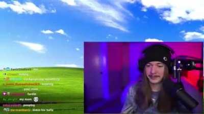 What the canine doing?