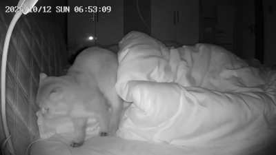 The biscuit factory working night shifts 😂