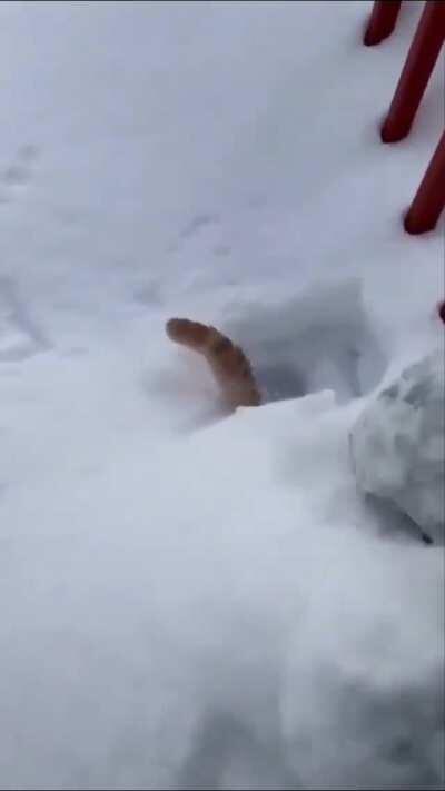 Let me check that out Mom...