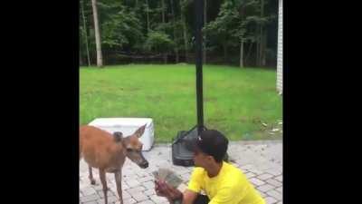 Me and the boys running it back again.