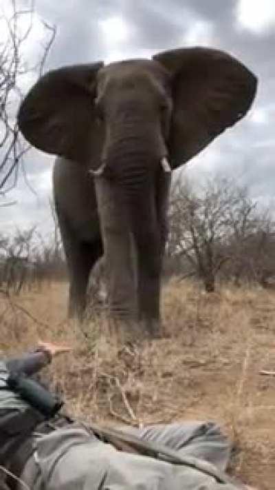 Well they got away with it.