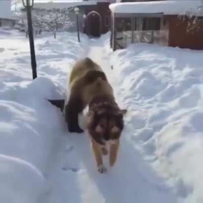 ''You know why I didn’t take the job? Because it’s too small! I don’t care about it! It’s nothing to me! It’s a bacterium!''