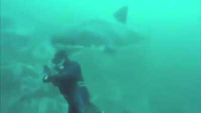 I thought it belonged here. My worst nightmare..