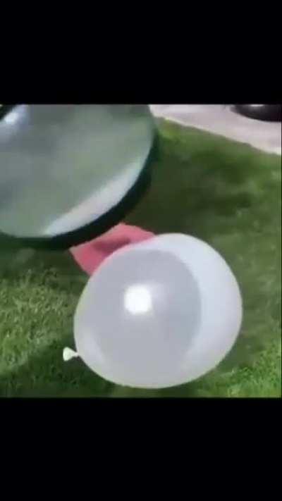 day 97 of posting memes