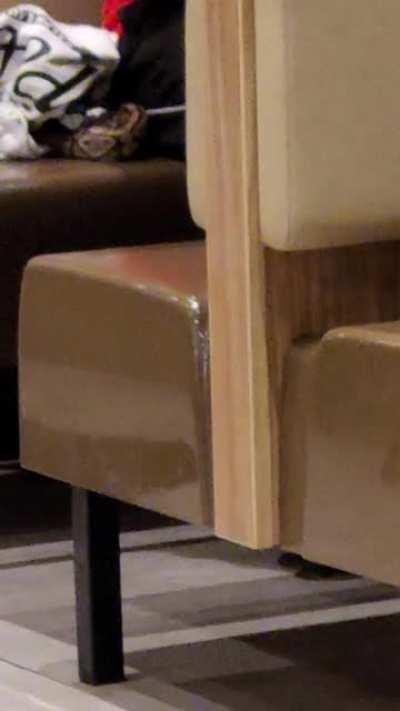 Bringing your pet snake along for a quick bite