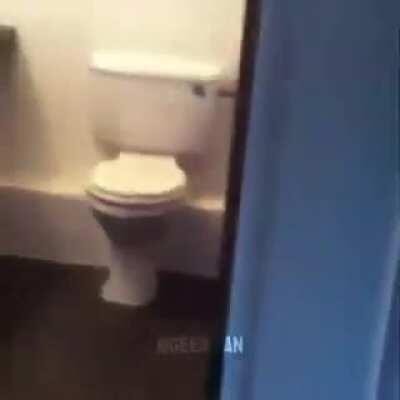 Posting random videos from my phone until I buy a new home button - day 15