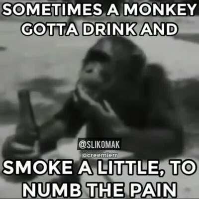 monke down bad