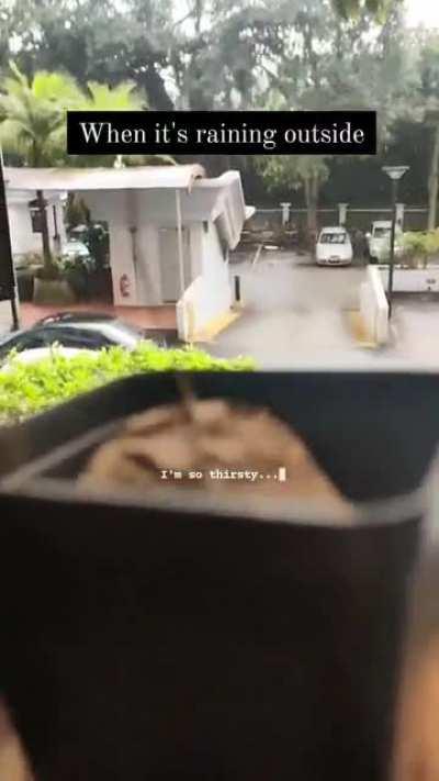 Mother, can I go outside to play with my friends?