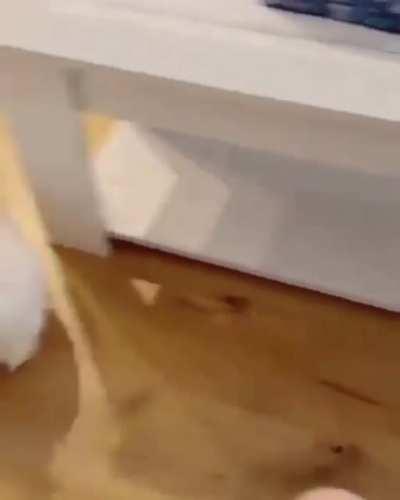 ZООМIES strаight intо а SРLООТ ...