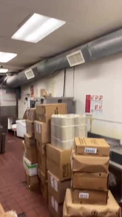 Popeyes infested with rats