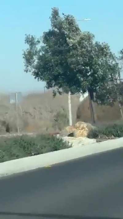 My tumble weed people need me