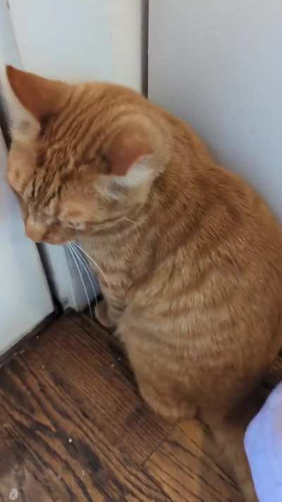 Just discovered: Melvin loves the booty pat-pats