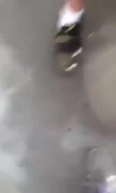 WCGW getting into a trash can