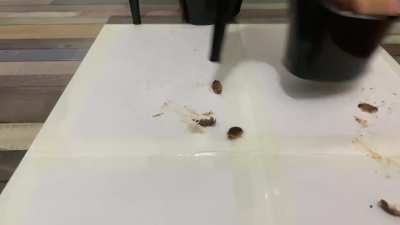 Custom Laugh Bug Crush 