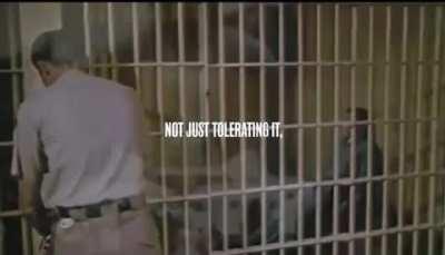 Stoicism is pantheistic philosophy. The cosmos is active, life-giving, rational and creative. A key part of accepting your truth.