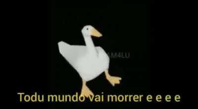 Eu postei esse video no reddit do raposito sem querer,mas oq importa e que esse video e muito bom