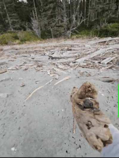 When it looks like one (1of15)