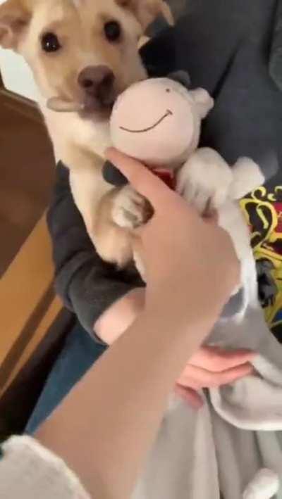 That looks tells his soul.