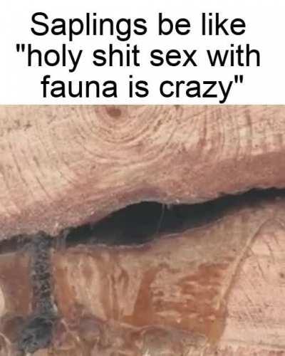 Get it because she&rsquo;s mother nature