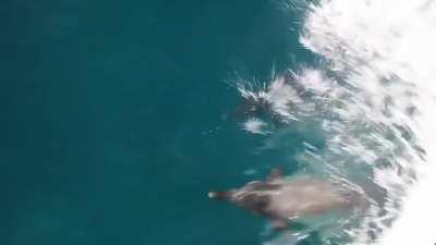 Miranda Cosgrove in Oceania 3