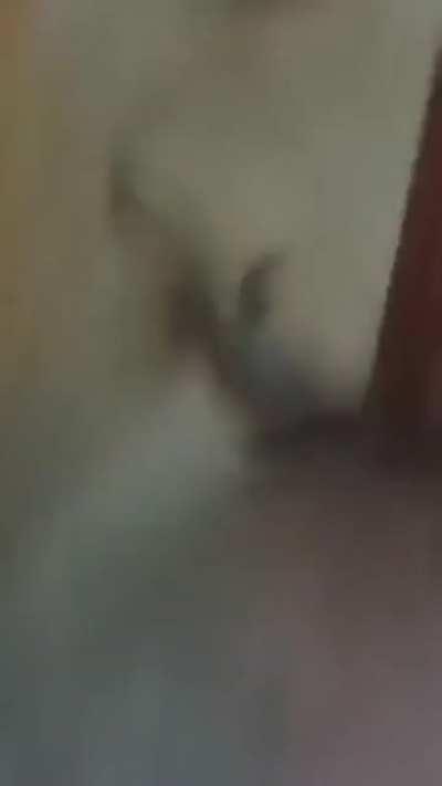 Feets don’t fail me now!