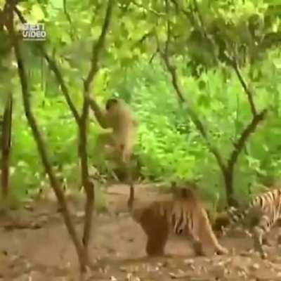 The Nerve... The Disrespect!