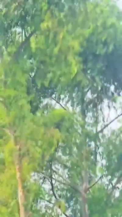 Man who hung onto a helicopter as it flew away after being denied a ride has been sentenced to 18 months in prison