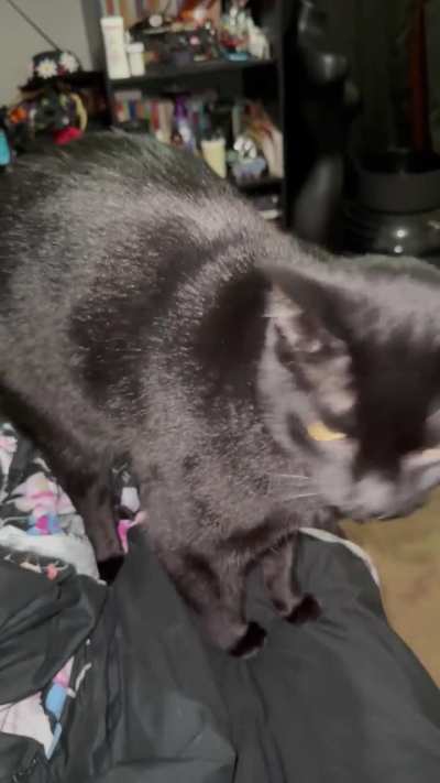 She had a lot to say