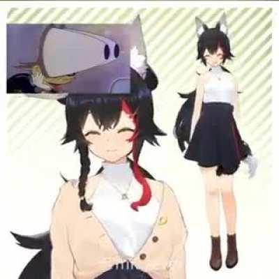 Holotard vs niggasanji