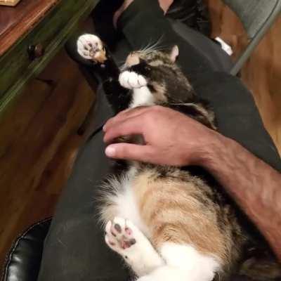 She said no to belly bongos today.