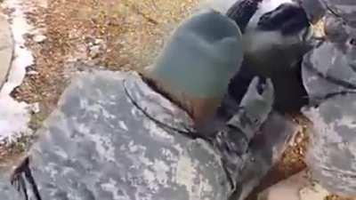 Do you know why your weapon is not shooting, Private?