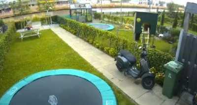 What could go wrong messing with the cat