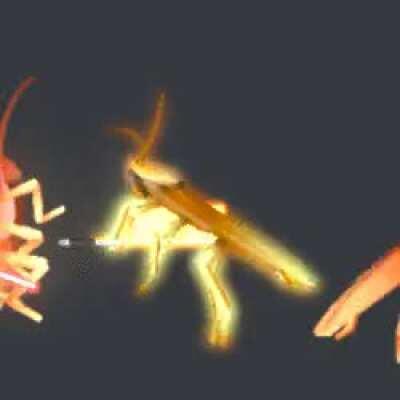 I have both the normal roach and the lightsaber roach but reddit won't let it as my profile pic