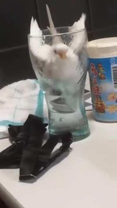 Just gonna take a quick sip