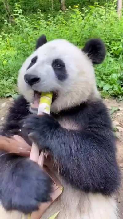 Time to eat? Looks delicious