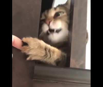 That face when you realise you're stuck.